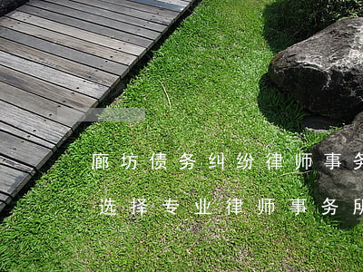 廊坊债务纠纷律师事务所，解决廊坊债务纠纷，选择专业律师事务所