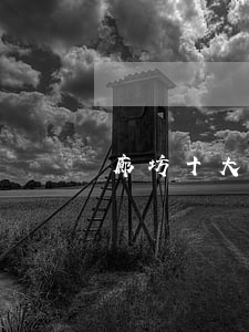 廊坊十大律師事務(wù)所(廊坊市律師)