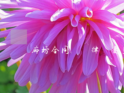 廊坊合同糾紛律師要多少錢