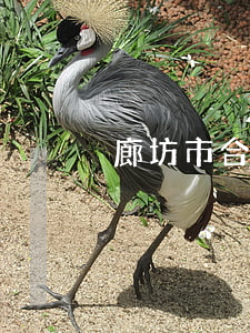 廊坊市合同糾紛律師要多少錢(qián)