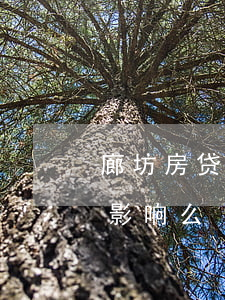 廊坊房贷逾期一次影响么(廊坊房贷逾期一次影响么)