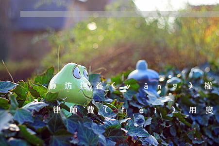 廊坊撫養(yǎng)權(quán)糾紛律師費(fèi)用(變更撫養(yǎng)權(quán)官司律師費(fèi)要多少)