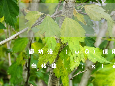 廊坊法務(wù)信用卡逾期協(xié)商(找律師協(xié)商信用卡逾期)