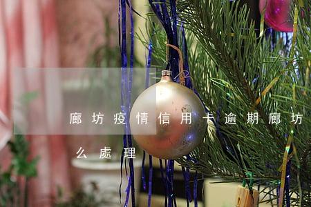 廊坊疫情信用卡逾期(廊坊疫情信用卡逾期怎么處理)