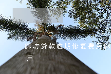 廊坊贷款逾期修复费用(廊坊贷款逾期修复费用)