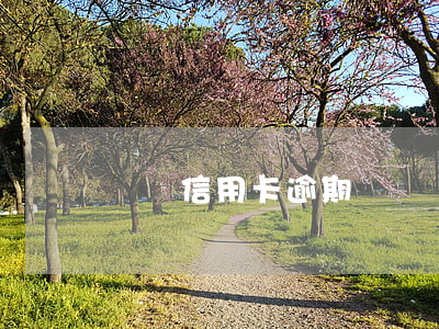 廚師信用卡逾期