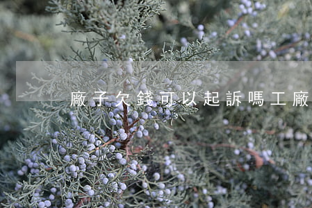 廠子欠錢可以起訴嗎(工廠欠錢可以起訴嗎?)