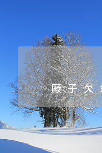 廠子欠錢起訴幾個人(工廠欠錢可以起訴嗎?)
