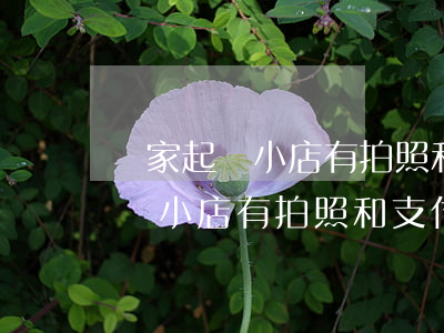 廠家起訴小店有拍照和支付寶憑證-廠家起訴小店有拍照和支付寶憑證嗎