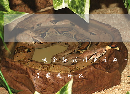 廠家金融信用卡逾期一天(信用卡逾期一天的后果是什么)
