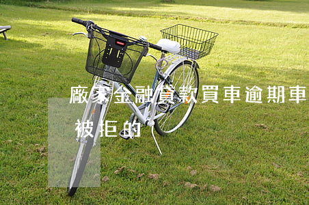 廠家金融貸款買車逾期(車貸廠家金融有沒有被拒的)
