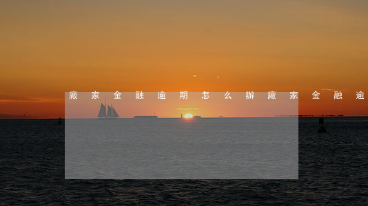 廠家金融逾期怎么辦(廠家金融逾期一天)