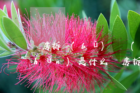 廠房拆補(bǔ)償標(biāo)準(zhǔn)是什么（廠房拆遷補(bǔ)償多少）