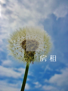 廠房租賃合同(廠房租賃合同房屋范本) 廠房租賃合同(廠房租賃合同房屋范本)