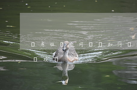 廠房租賃合同糾紛如何處理(廠房租賃糾紛找誰投訴)