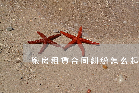 廠房租賃合同糾紛怎么起訴