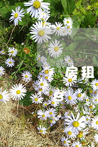 廠房租賃合同范本(廠房租賃合同范本2018) 廠房租賃合同范本(廠房租賃合同范本2018)