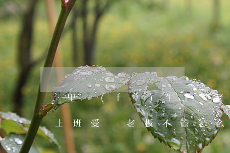廠里發(fā)生工傷老板最怕什么(在工廠上班受傷老板不管怎么辦)