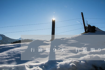 廢行逾期9天(廢行逾期9天)