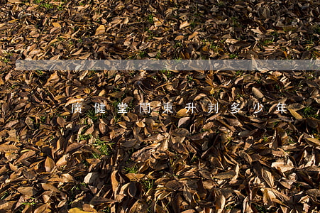 廣健堂閆東升判多少年