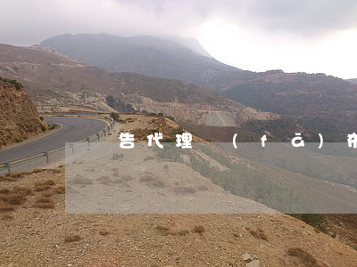 廣告代理發(fā)布合同書（戶外廣告專用）