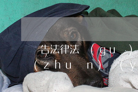 廣告法律法規(guī)江蘇自考(廣告專(zhuān)業(yè)自考那些科目)