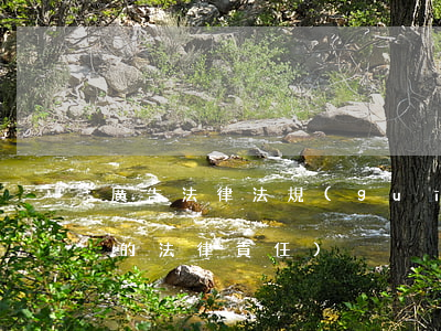 廣告法律法規(guī)王悅彤(新廣告法的法律責任)