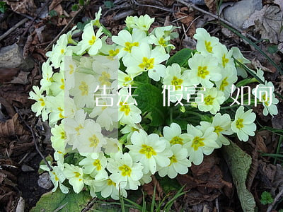 廣告法虛假宣傳如何處罰