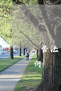 廣告法虛假宣傳如何處罰(廣告法虛假宣傳如何處罰賠償)