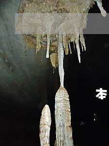 廣圖繪本逾期費(fèi)上限