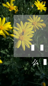 廣場舞太吵可以告上法院嗎(廣場舞太吵了怎么辦)