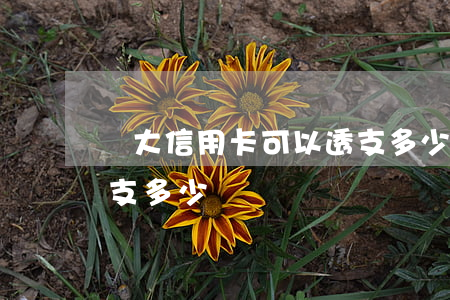 廣大信用卡可以透支多少(信用卡一般可以透支多少)