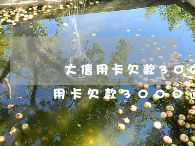 廣大信用卡欠款3000逾期十年-廣大信用卡欠款3000逾期十年會怎么樣