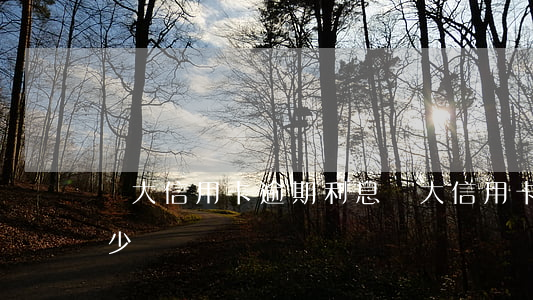 廣大信用卡逾期利息 廣大信用卡逾期利息多少