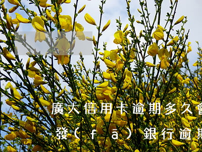 廣大信用卡逾期多久會(huì)上征信 廣發(fā)銀行逾期了幾天還款對(duì)征信有什么影響嗎