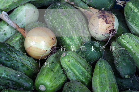 廣大銀行信用卡逾期一萬元(廣大銀行逾期四個月)