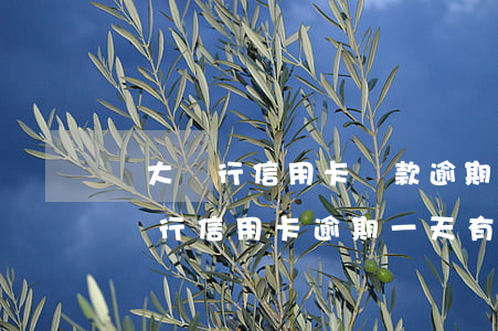 廣大銀行信用卡還款逾期一周(廣發(fā)銀行信用卡逾期一天有沒有影響?)