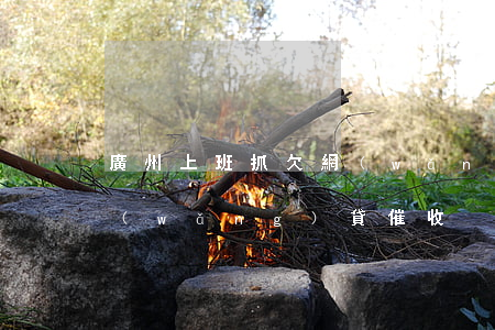 廣州上班抓欠網(wǎng)貸(廣東廣州網(wǎng)貸催收)