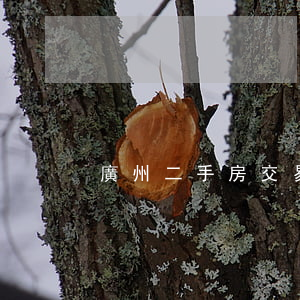 廣州二手房交易流程