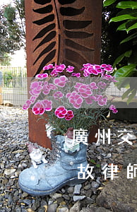 廣州交通事故律師教你該怎么做(廣州交通事故律師教你該怎么做)