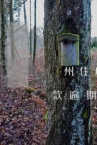 廣州住房公積金貸款逾期(廣州住房公積金貸款逾期)