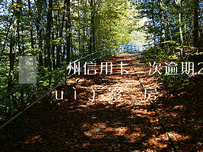 廣州信用卡二次逾期(2次信用卡逾期會(huì)影響房貸嗎)