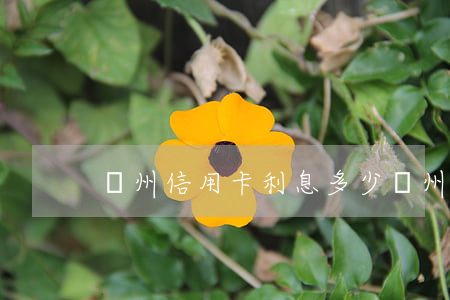 廣州信用卡利息多少(廣州信用卡利息多少)