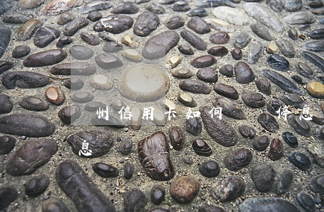 廣州信用卡如何掛賬停息(廣州銀行信用卡停息掛賬)