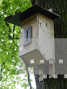 廣州信用卡如何透支額度(廣州銀行辦信用卡一般額度是多少?)