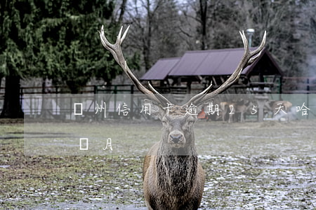 廣州信用卡逾期25天(哈爾濱信用卡逾期2個月)