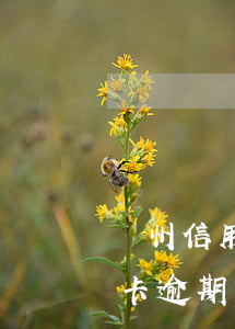 廣州信用卡逾期3天內(nèi)(廣州信用卡逾期3天內(nèi)容)