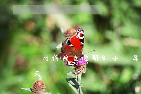 廣州信用卡逾期3小時(每個月信用卡逾期三天)