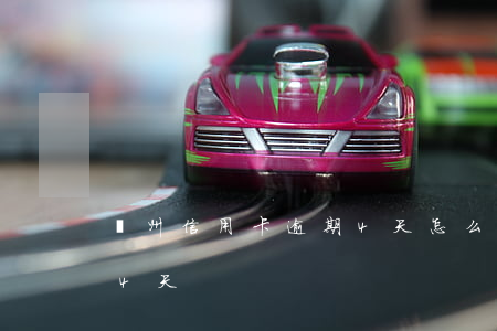 廣州信用卡逾期4 天怎么辦（廣州信用卡逾期4 天）