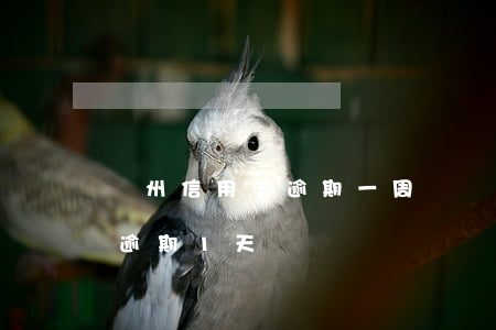 廣州信用卡逾期一周 廣發(fā)卡信用卡逾期1天